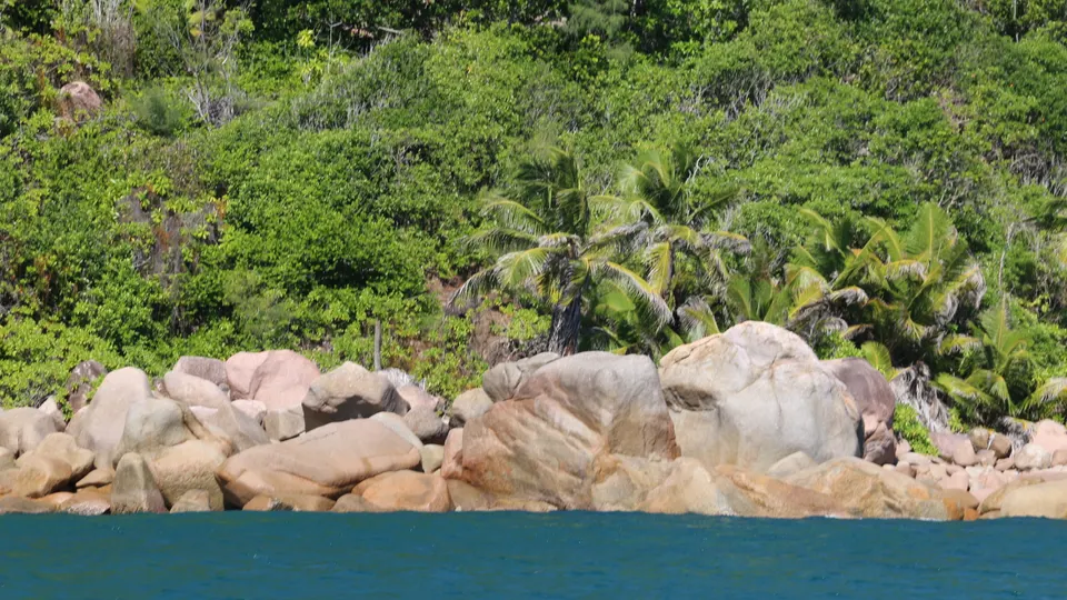 A turquoise lagoon meeting dense green vegetation
